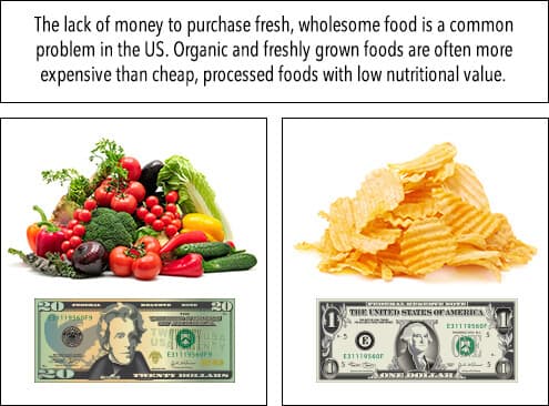 money and food