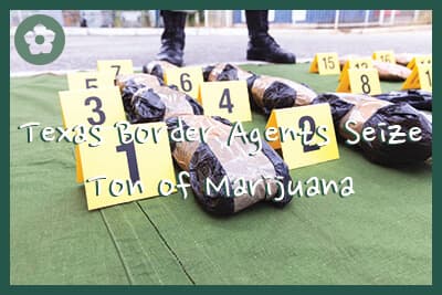 Drug evidence seized during the police raid